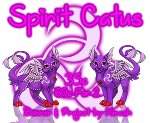 Spirit Catus Banner