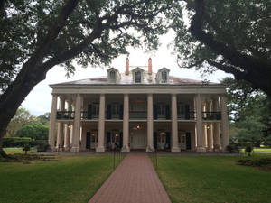 Southern Plantation