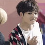 |BTS|KOOKIES|REQUEST|GIF|