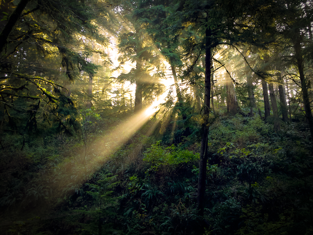 Oregon Coast by MaciejKarcz