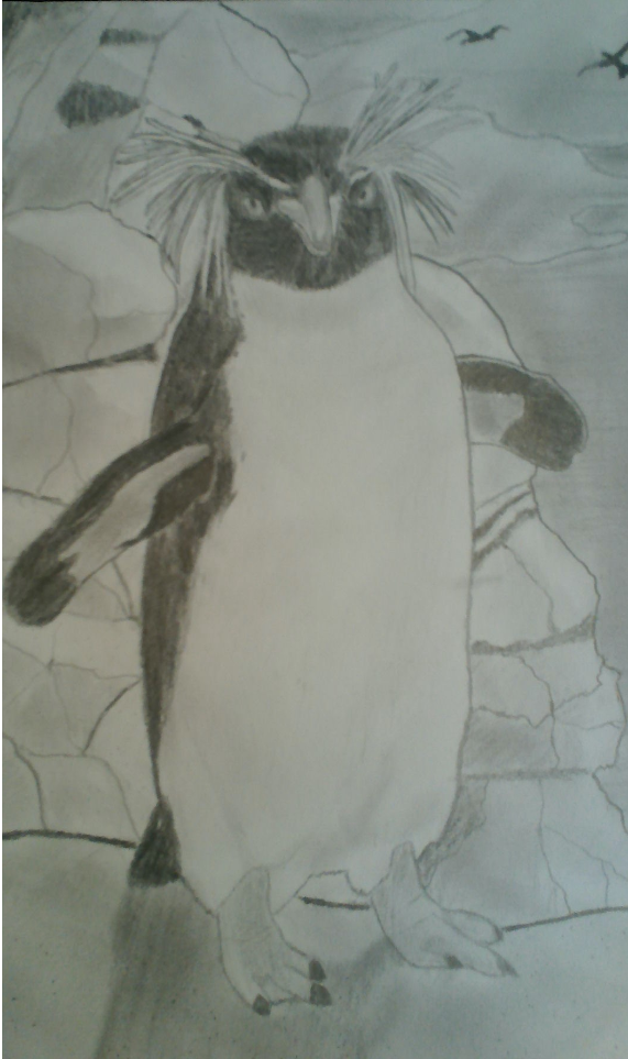 Rock Hopper Penguin by NobodyX7 on DeviantArt