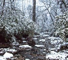 Creek HDR