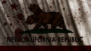 The Ncr Flag Fallout 2 By Achaley On Deviantart The Ncr Flag Fallout 2 By Achaley On Deviantart