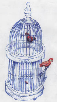 A Cage for You and Me