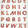 Typography Candy Alphabet