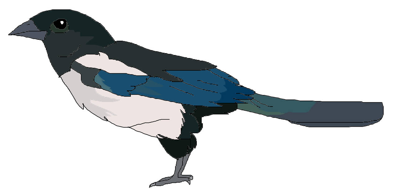 Magpie Turtle Oriental Magpie by ninjaturtles0319 on DeviantArt