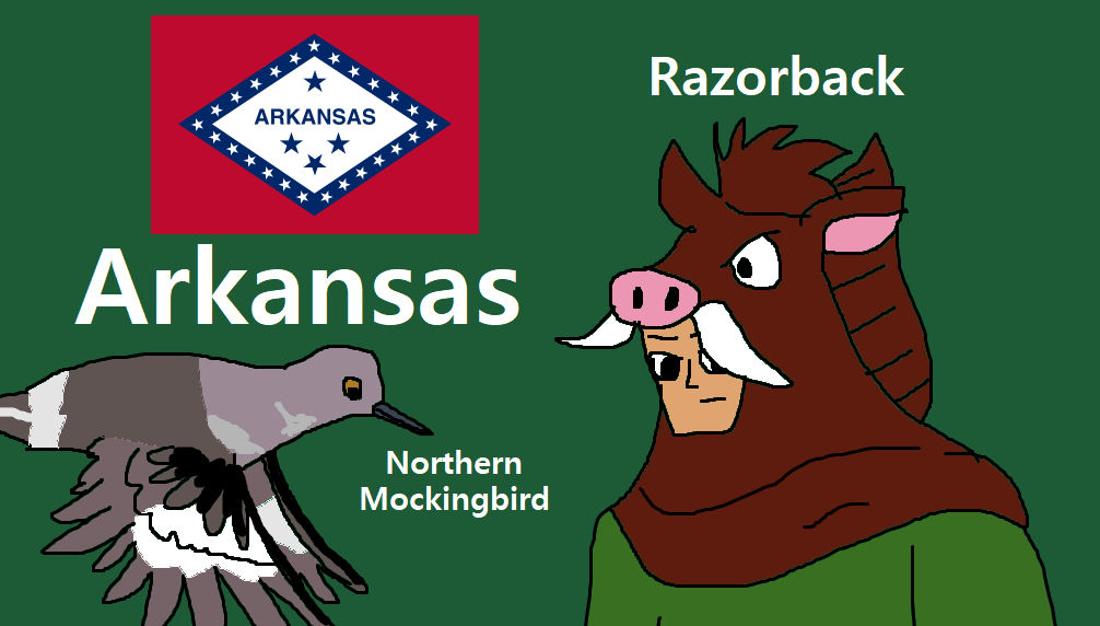 Avatar Razorback Arkansas - Razorback meets a N. Mockingbird by ninjaturtles0319 on ...