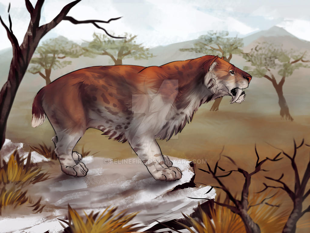 Smilodon populator by FelineFire on DeviantArt