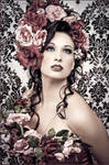 Vintage Rose by zairia