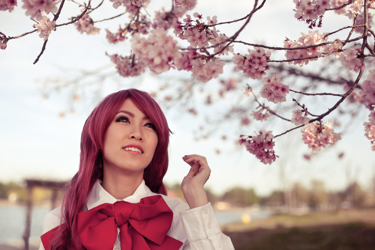 Mitsuru in the Blossoms