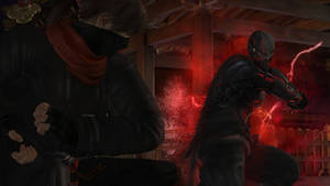Hayabusa vs Raidou