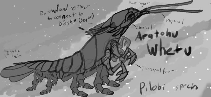 Aratohu Whetu of the Pilobi