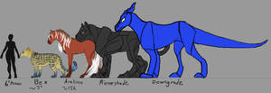 Midcon sizes compared to Bex