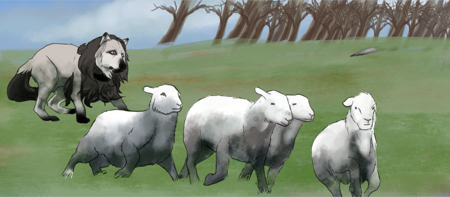RoM: Sheepies!