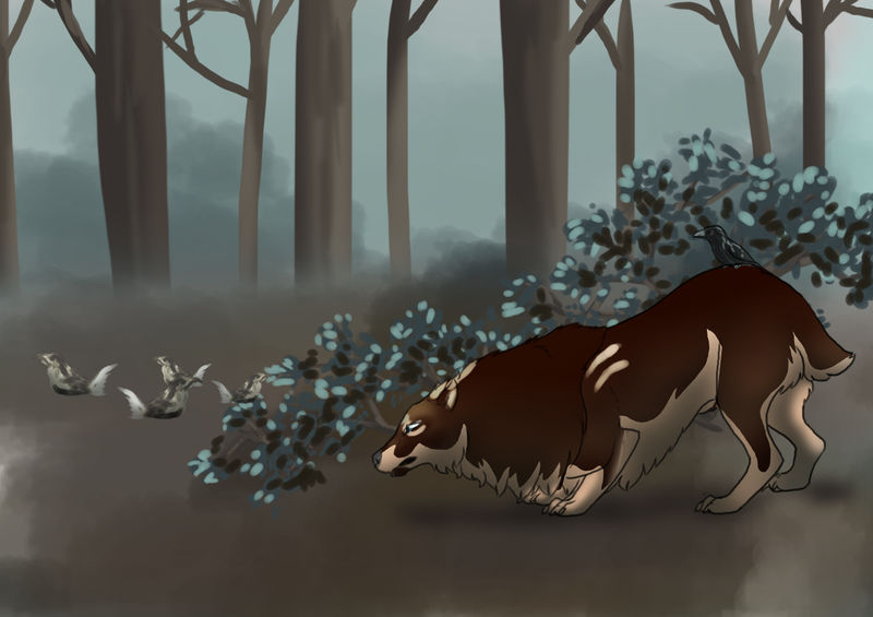 Grouse Hunting