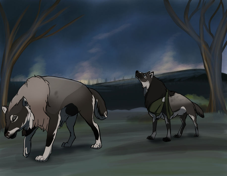 Exploration at Night