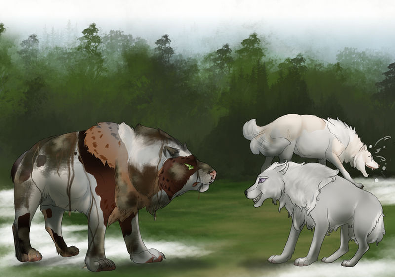 RoF: I Saw a Bear