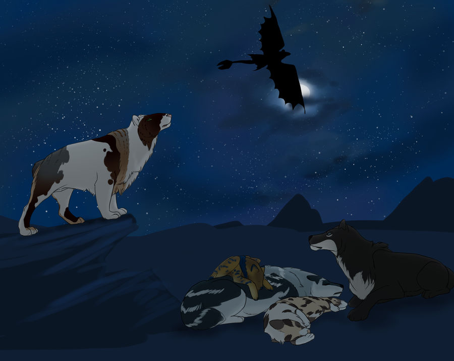 Explore: Midnight Flight Club