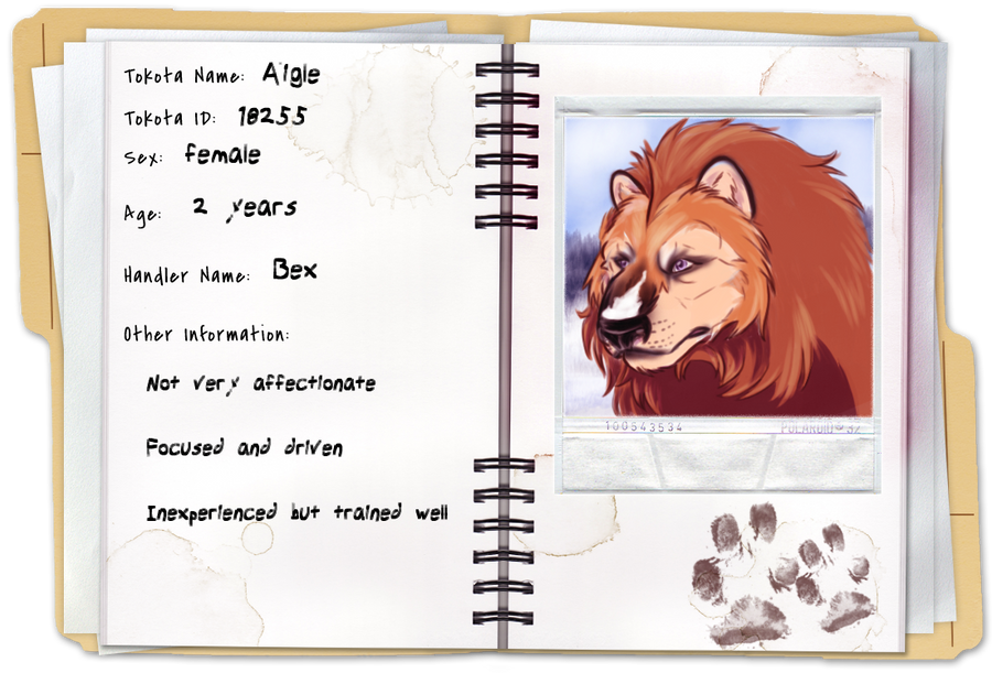 Return to the Tartoks: Aigle registration