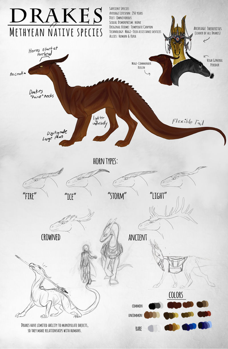 Drake Sheet