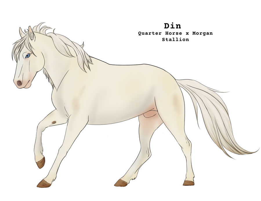 Above the Din Reference