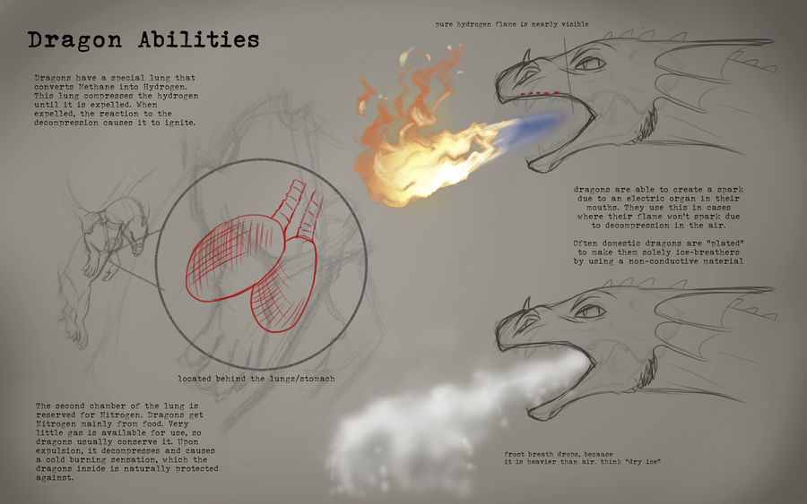 Methyean Dragon Breath Abilities By Bluedrgnmethy On Deviantart Methyean Dragon Breath Abilities By Bluedrgnmethy On Deviantart
