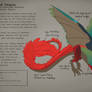 Crowned Dragon Breed Codex