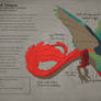 Crowned Dragon Breed Codex