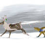 Chasing Rudolph