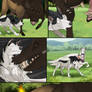 Variant Pg49
