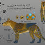 Bex Char Sheet 2024