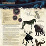 Orimmar Codex