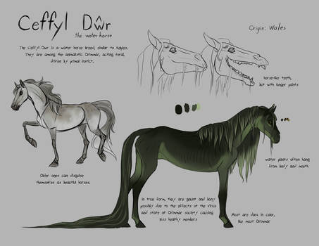 Cefyl Dwr Concepts