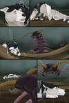 Variant Pg 85