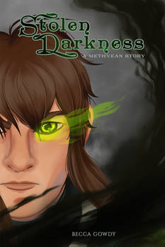 Stolen Darkness Cover