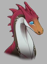 Kargaroth Portrait