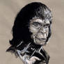 Zira: Planet of the Apes