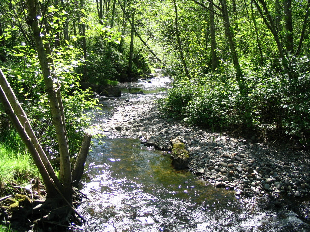 the creek by VC-Art on DeviantArt