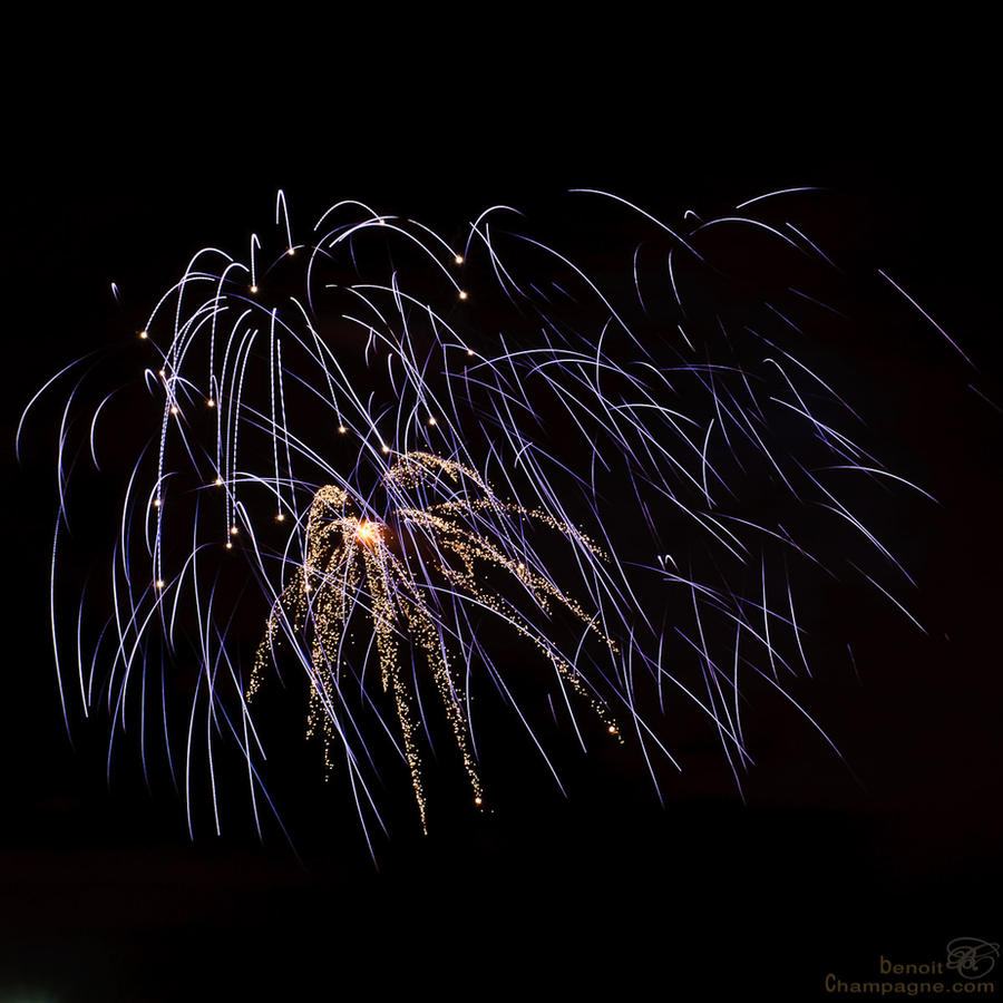 Fireworks395