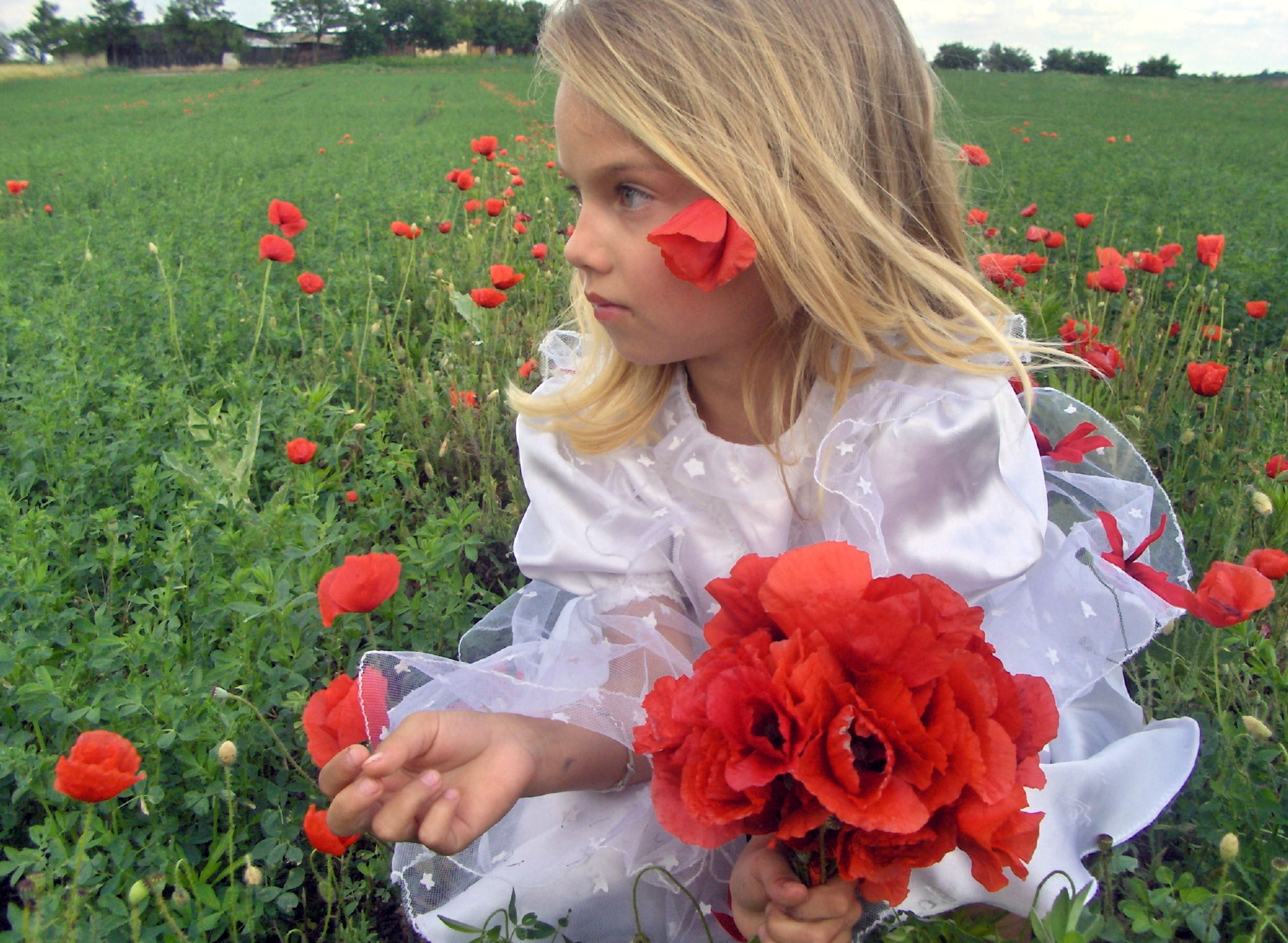 Poppy girl 2 - stock