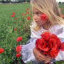 Poppy Girl 3- Stock