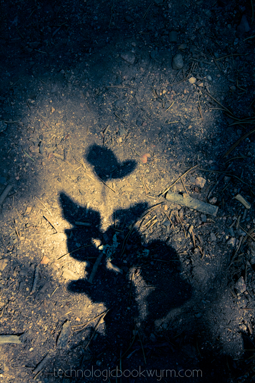 Leaf Shadows I