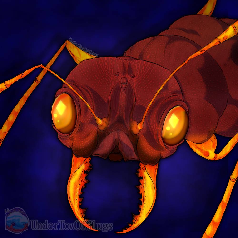 Ant Deviantart Ant by smushsmash7 on DeviantArt