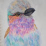 Prismacolor birds