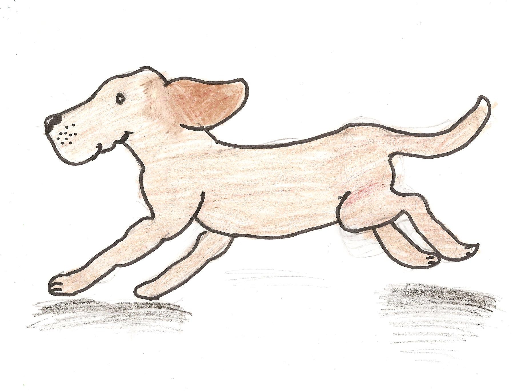 Running Dog By Puppymad On Deviantart