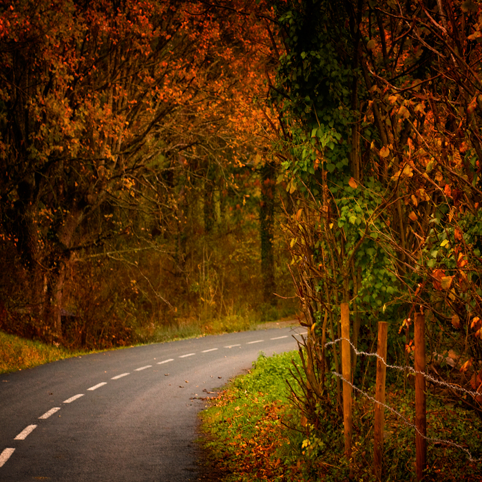 Un bout d'automne