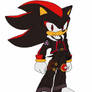 Shadow the Hedgehog