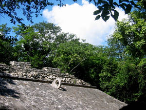 the ball court