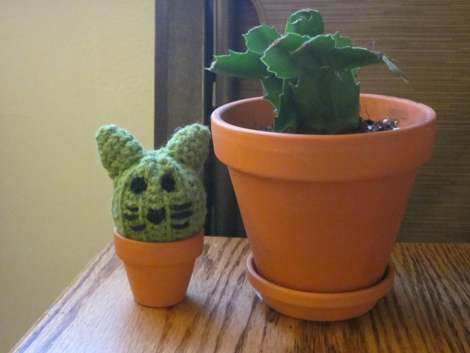 Cat Cactus