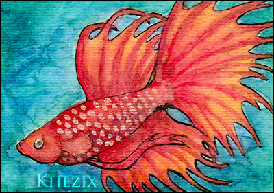 Crowntail ACEO